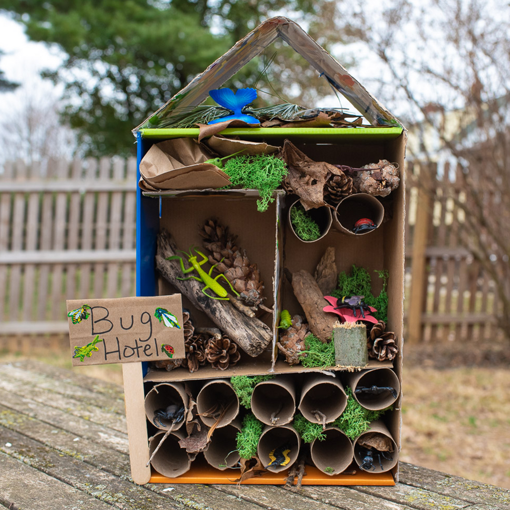 Cardboard Bug Hotel