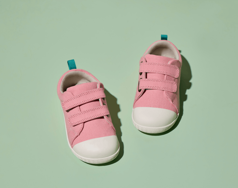 Top view of Ten Little Eco Canvas Sneakers - Piggy Pink. Available at www.tenlittle.com