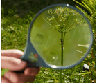 Magnifier