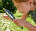 Magnifier