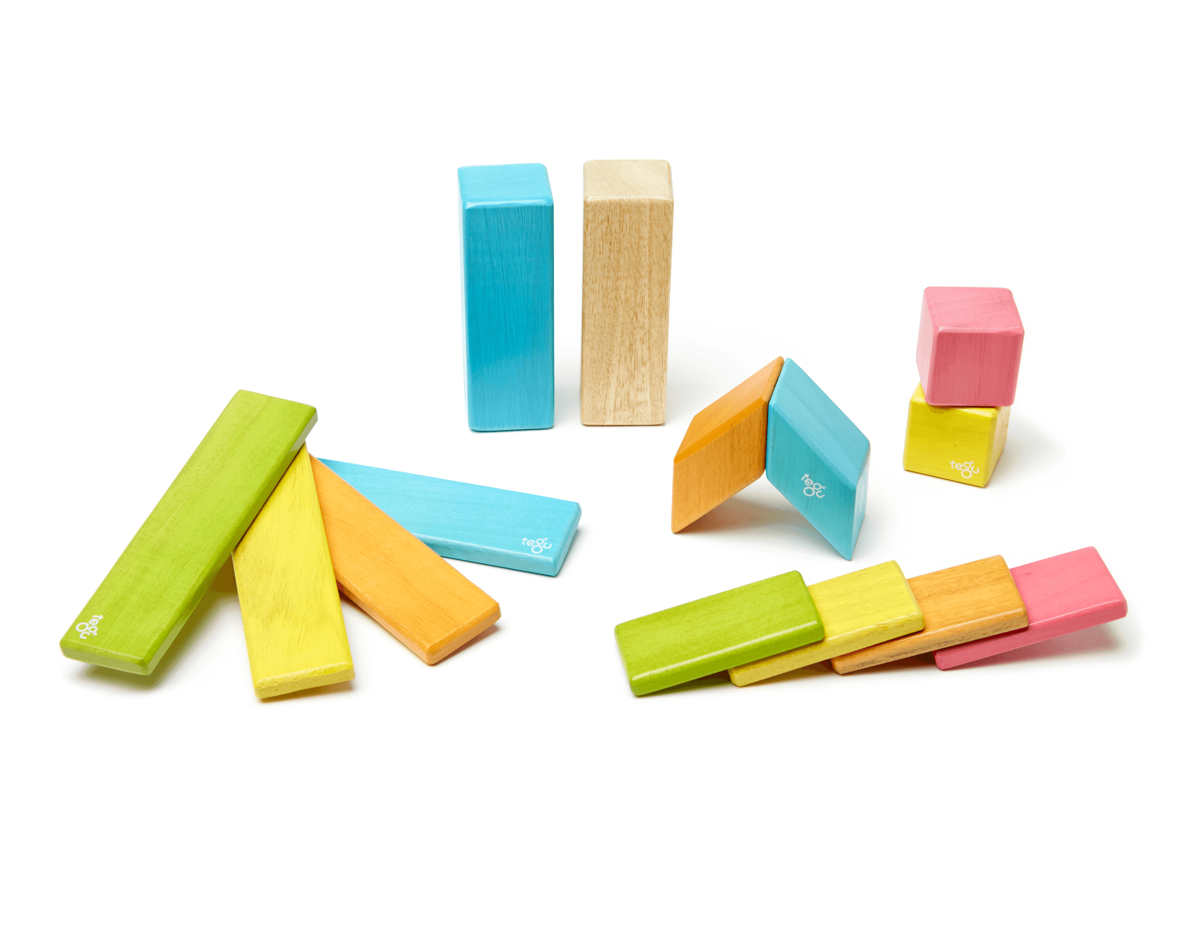 Tegu toys top