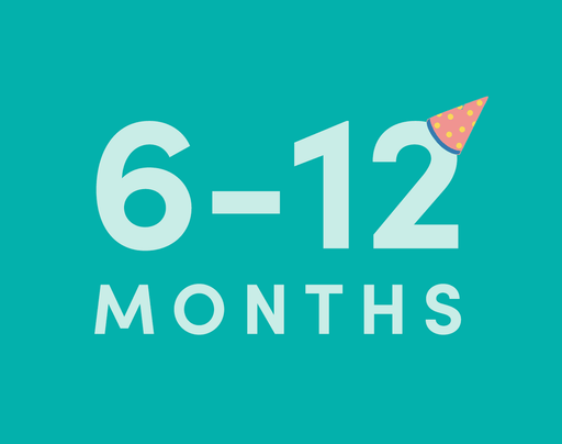 Best Gifts for 6-12 Months