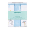 Package of Aden + Anais Muslin Washcloths - 3 Pack - Space Explorers. Available at www.tenlittle.com