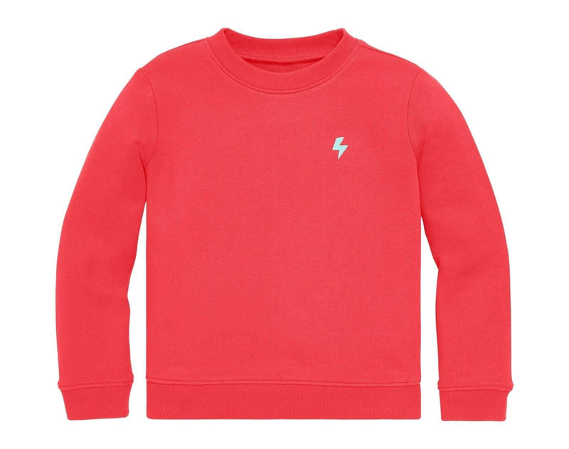 Primary Embroidered Sweatshirt - Strawberry. Available at www.tenlittle.com