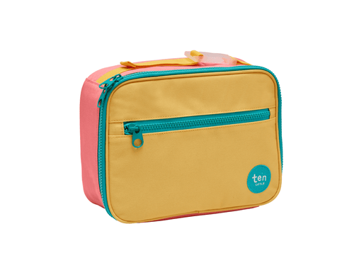 Insulated Recycled Lunch Box