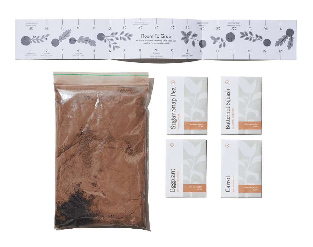 Modern Sprout Seed Ball Kit Rainbow Garden Ten Little Kids' Toys