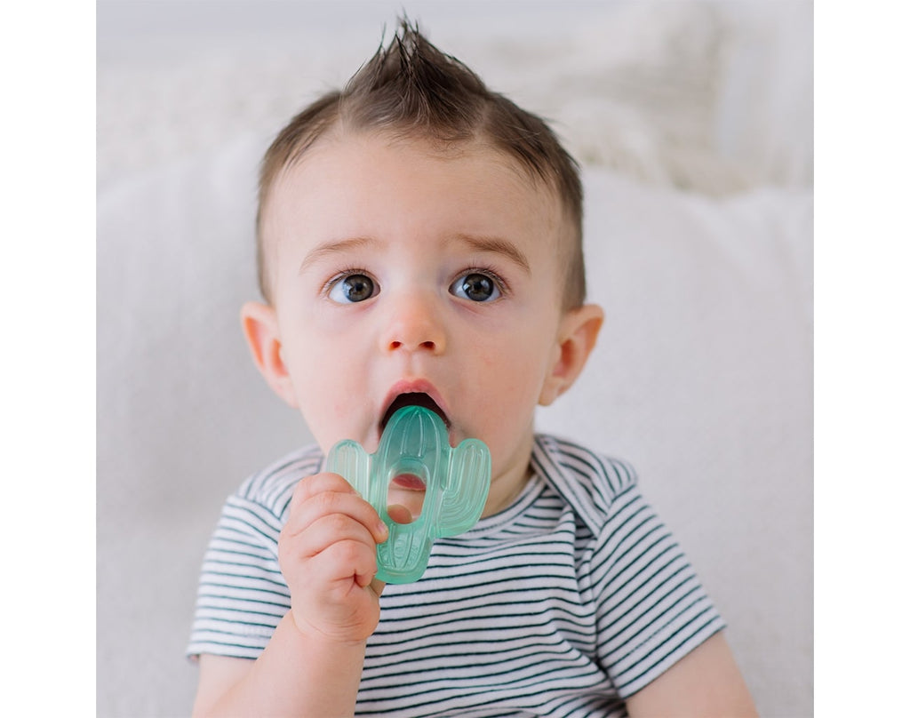 Itzy Ritzy Cactus Water Filled Teethers Set Ten Little Baby Feeding