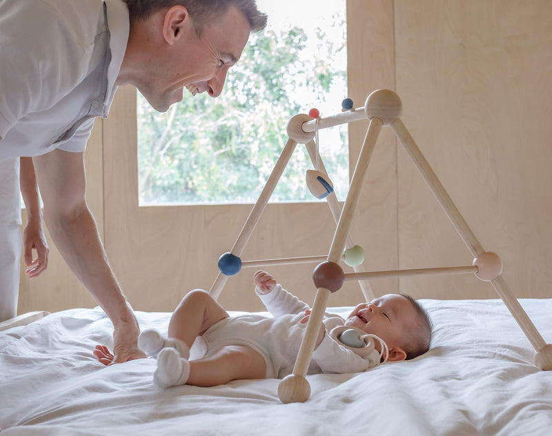 Poppyseed Play Baby Gym