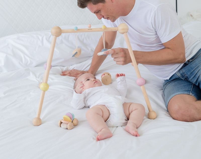 Poppyseed Play Baby Gym