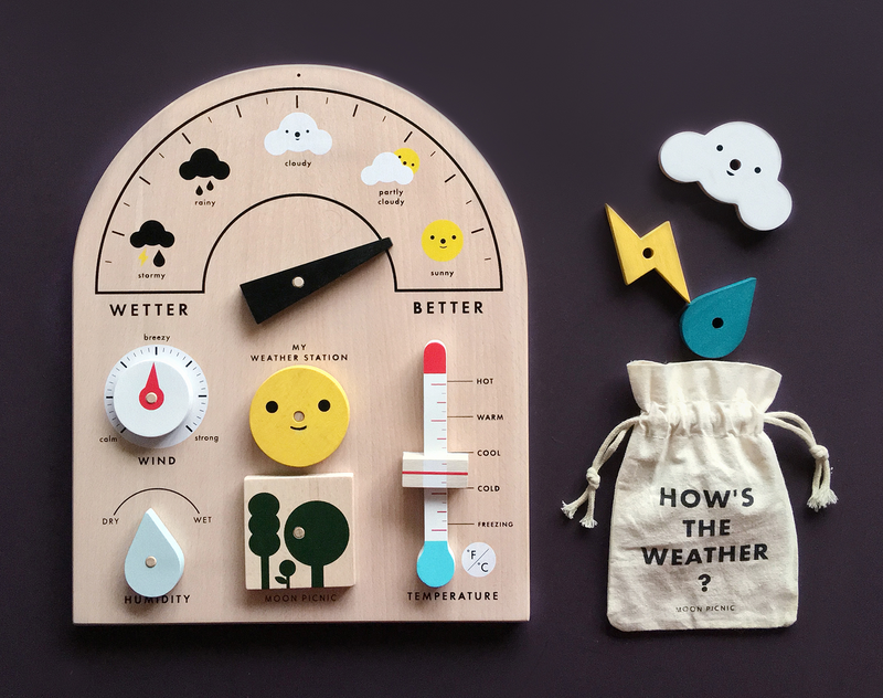 My weather station deals toy