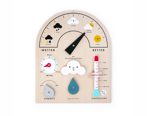 My Weather Station