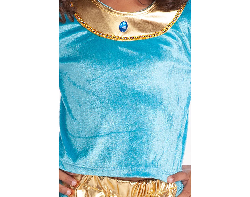 Disguise Women's Jasmine Prestige Costume, Blue, Medium